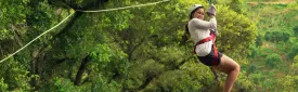 Guide to the Best Zipline Adventures in New Zealand